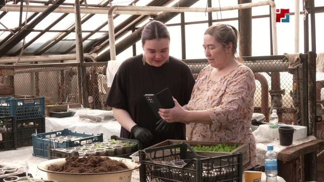 Сад-пакчазе-влаклан кызыт росотам кусарен шындаш жап шуын