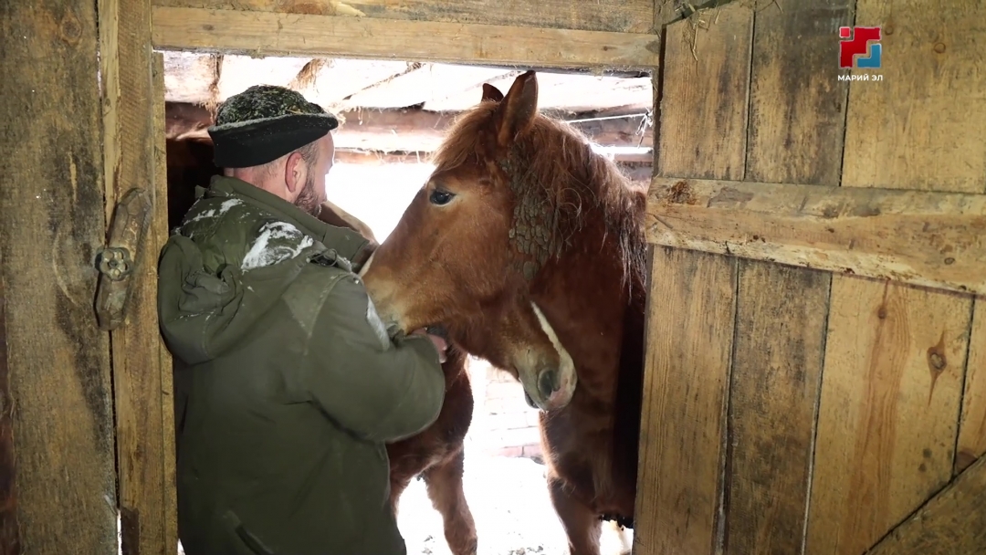 Алексей Астафьев после возвращения с передовой заключил соцконтракт на развитие животноводства