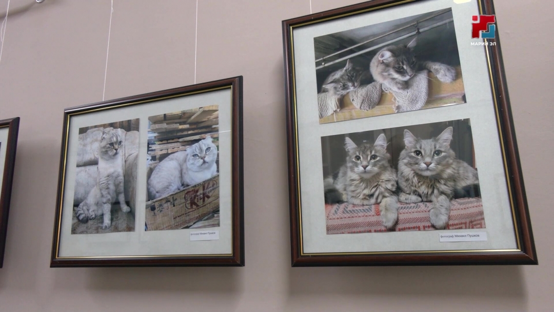 В Марий Эл состоится фестиваль молодёжного искусства «БиблиоАРТ»