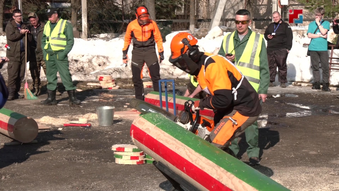 В Йошкар-Оле стартовал Межрегиональный конкурс профессионального мастерства «Лесной кубок Волгатеха»