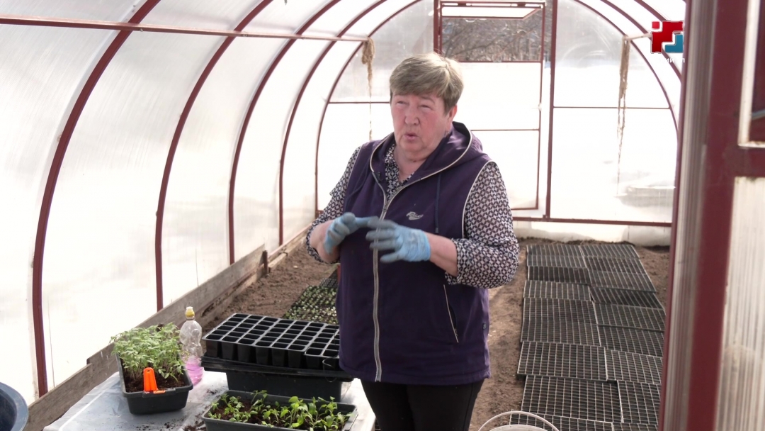 Сад-пакчазе-влаклан ялозанлык шанче кандидат Эльвира Пирогова деч ой-каҥаш-влак