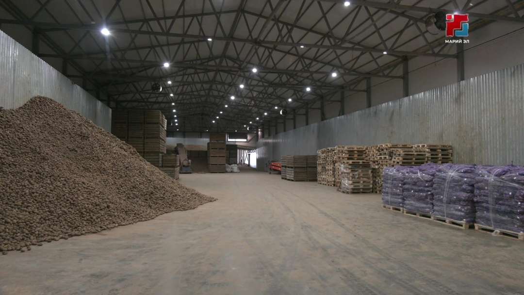 Курыкмарий районысо фермер-влак шошо агалан ямдылалтыт