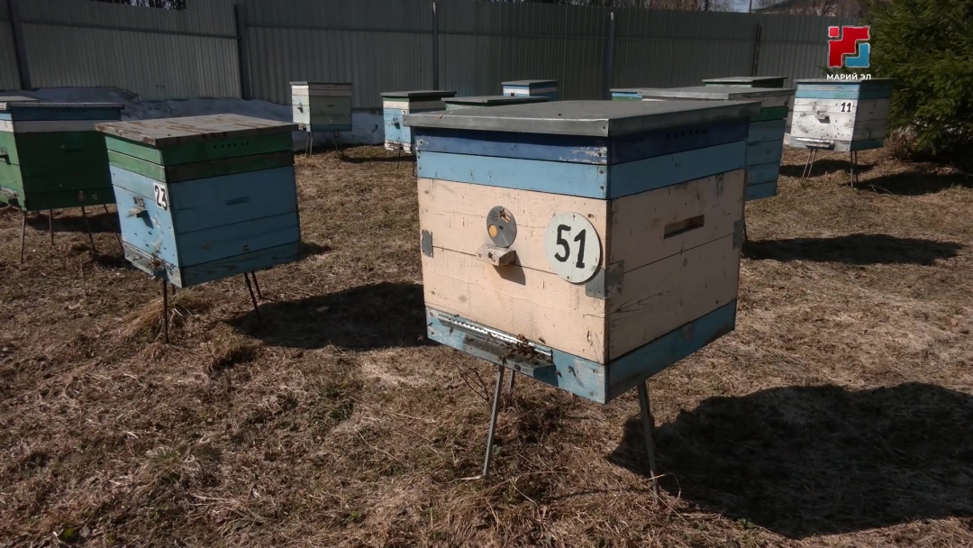 Пчеловод Сергей Петров рассказал, как на пасеке пережили зиму