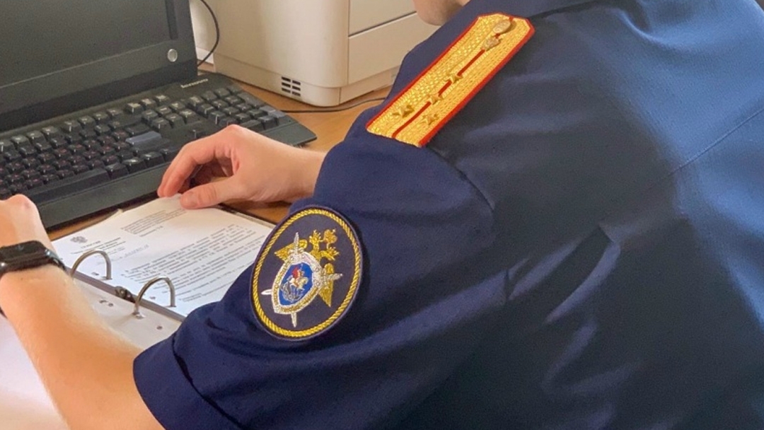 В Марий Эл возбуждено уголовное дело из-за долгов по зарплате перед сотрудниками сельхозпредприятия