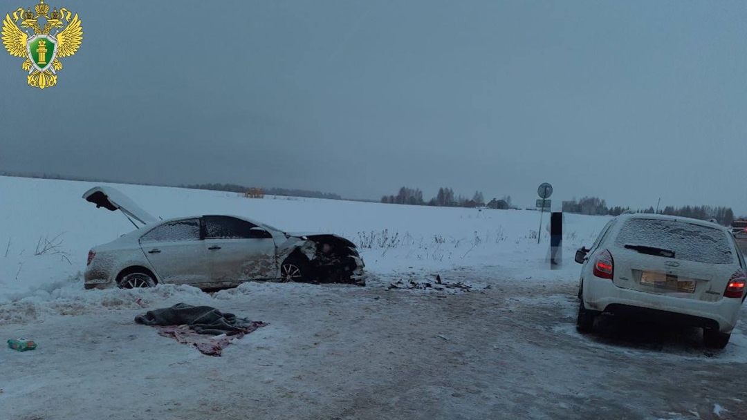 Житель Моркинского района получил два года колонии за смертельное ДТП