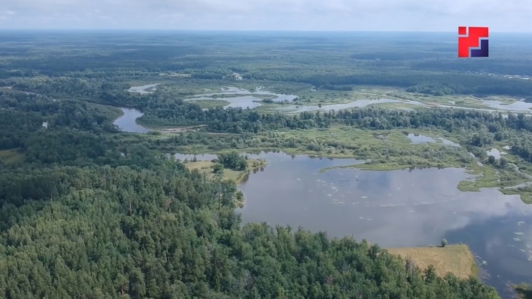 В Марий Эл спрогнозировали высокий риск лесных пожаров в сентябре 2026 года