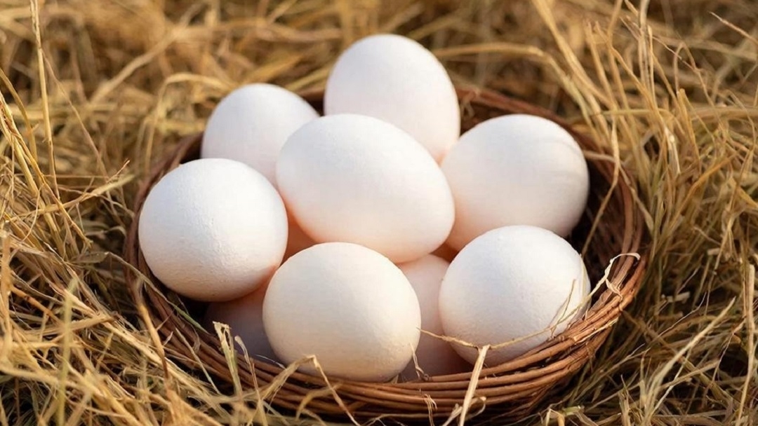 В первые месяцы 2026 года в Марий Эл выросли цены на потребительском рынке