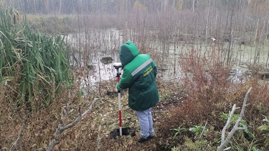 Росприроднадзор оценил ущерб почвам в Марий Эл в 56 миллионов рублей