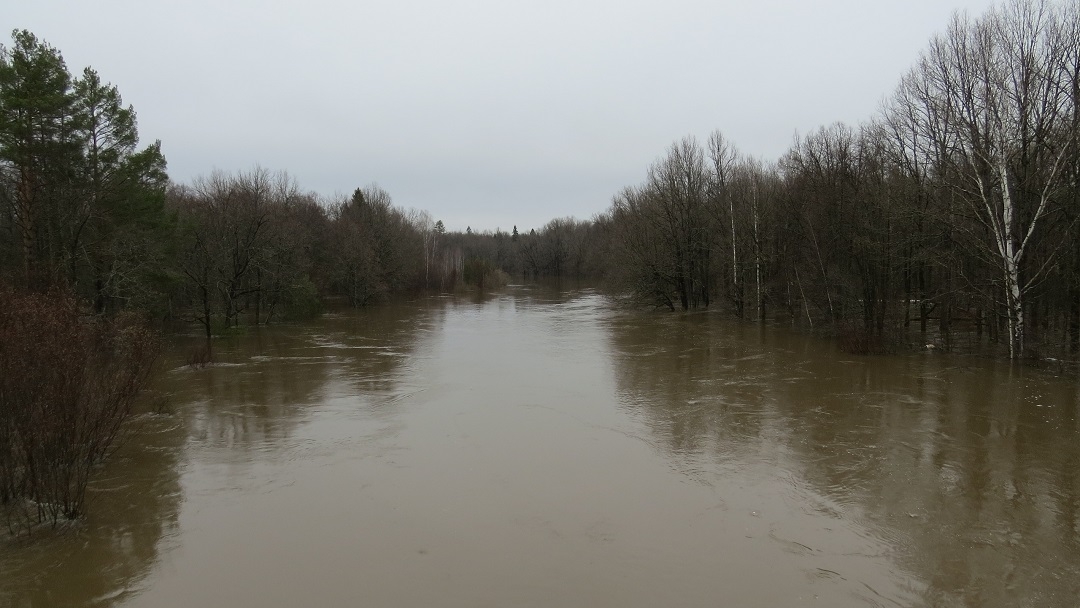В Марий Эл на Большой Кокшаге наступил пик половодья