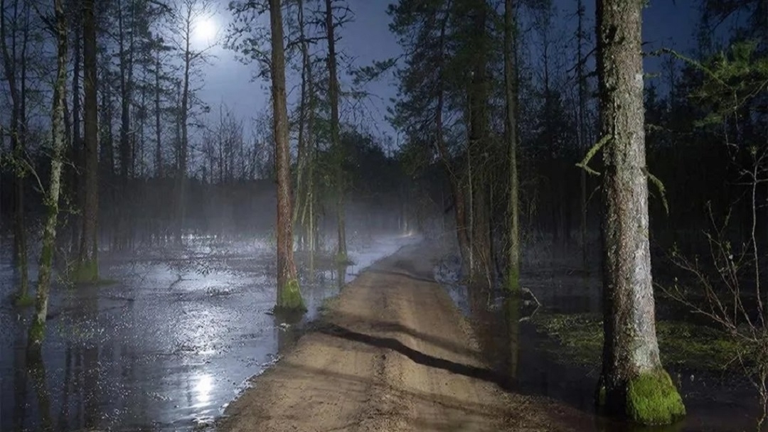 В Марий Эл замерзающих людей искали две группы спасателей