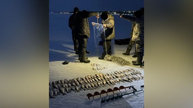 За две недели рыбоохрана изъяла у браконьеров в Марий Эл 38 килограммов рыбы