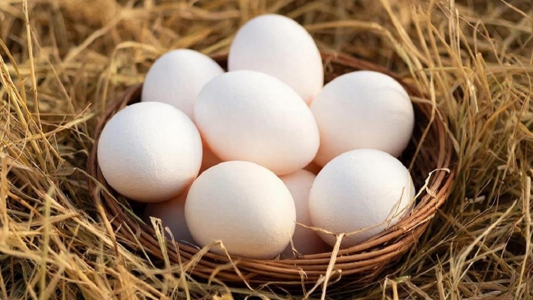 Марий Эл вошла в ТОП-5 регионов ПФО по приросту производства яиц