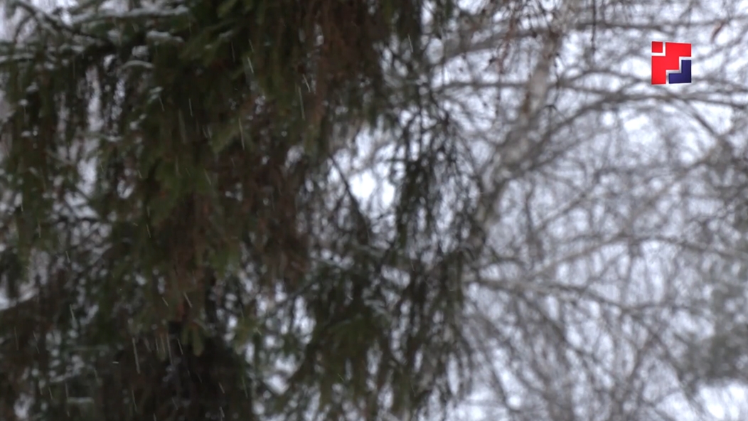 В Марий Эл ожидаются ледяной дождь, снег и гололедица