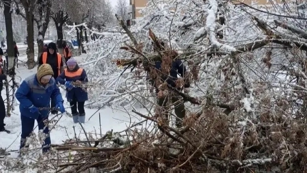 В Йошкар-Оле устраняют последствия непогоды