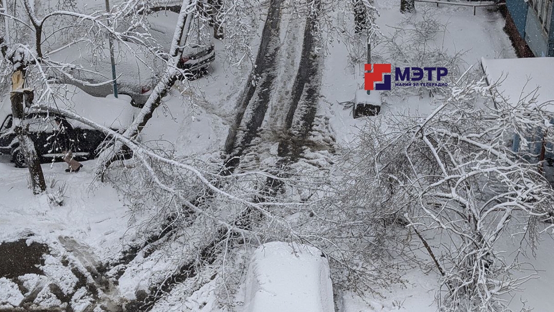 В Марий Эл из-за ледяного дождя обесточены 90 населенных пунктов