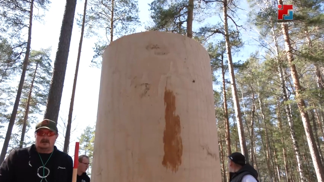 В Марий Эл съехались мастера лесного дела