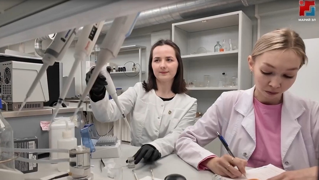 Правительство утвердило квоты приема на целевое обучение в вузах на 2026 год за счет федерального бюджета