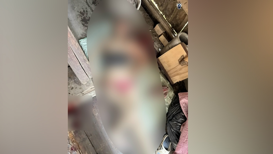 Суд заключил под стражу обвиняемого в убийстве 51-летней женщины в деревне Митюково