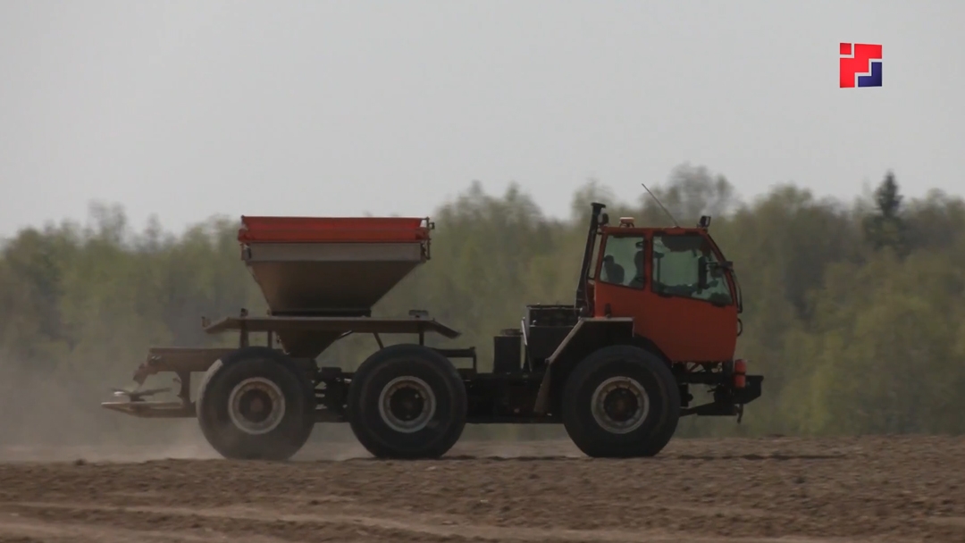 В Марий Эл в этом году посевная площадь составит порядка 300 тысяч гектаров