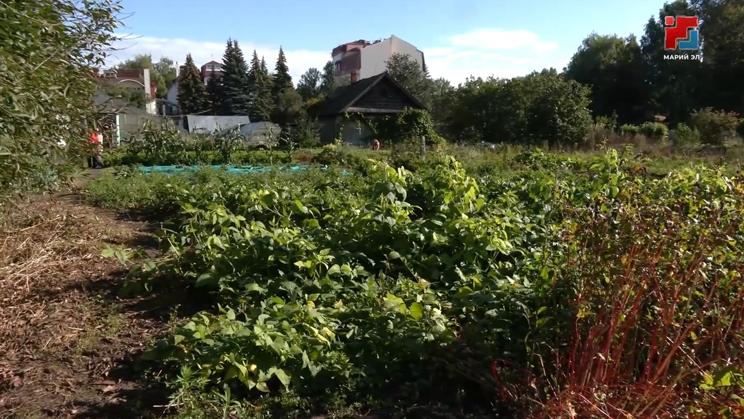 Апрельын пытартыш кечылаштыже игече сад-пакчазе-влакын паша планыштым лугыч ыштен гынат, сомыл пеш шуко