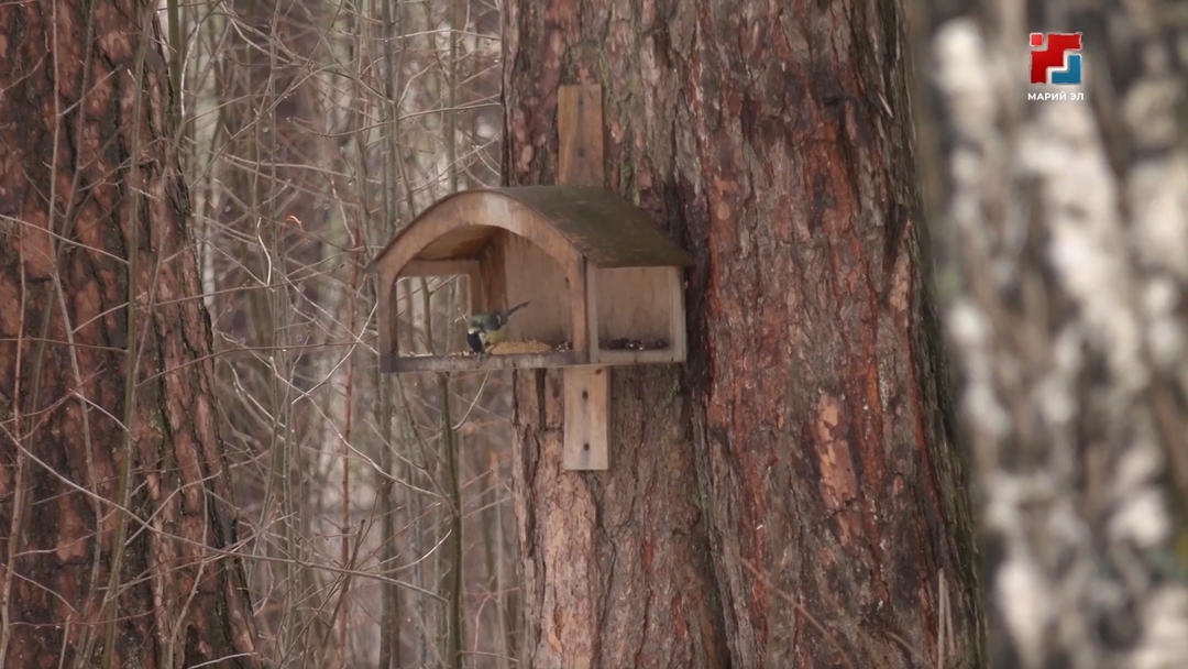 Ночные заморозки и снегопады вернулись в республику