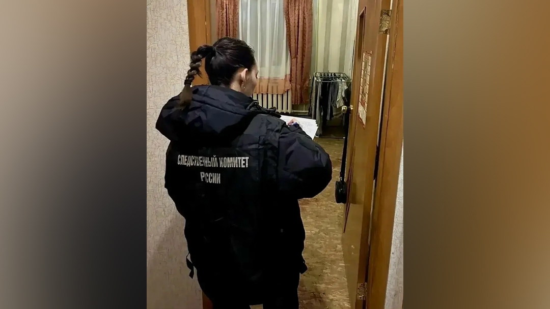 Жительница Марий Эл получила шесть лет колонии за убийство сожителя