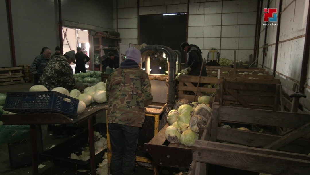 Аграрии Горномарийского района готовятся к посевному сезону