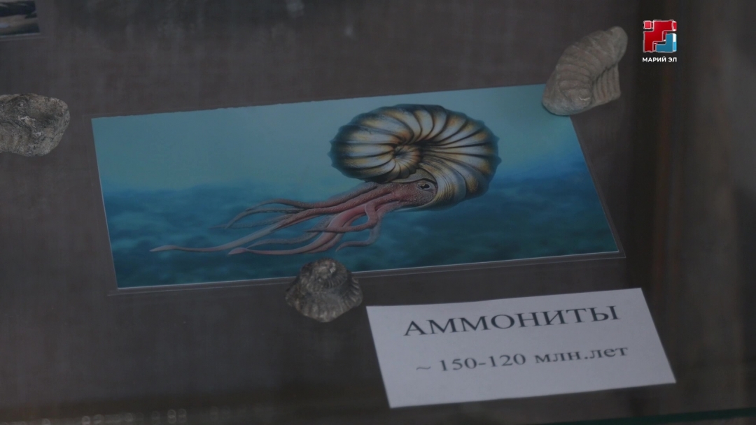 Козьмодемьянск оласе А. Григорьев лӱмеш  тоштерыште «Море эпохи динозавров» лӱман ончер пашам ышта