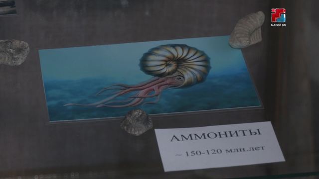 Козьмодемьянск оласе А. Григорьев лӱмеш  тоштерыште «Море эпохи динозавров» лӱман ончер пашам ышта
