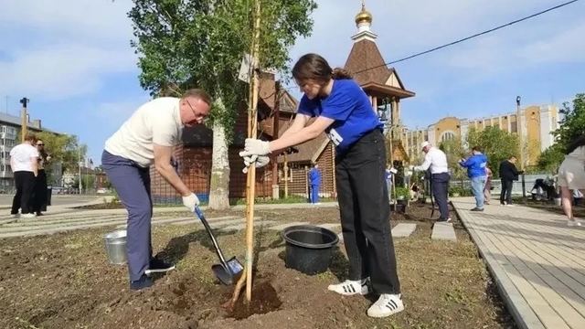 «Дерево Йошкар-Олы» теперь растет в Самаре