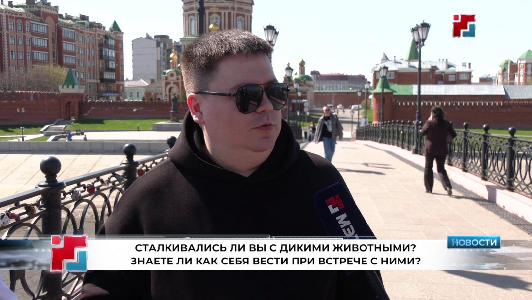 Насколько часто встречают жители Марий Эл диких животных?