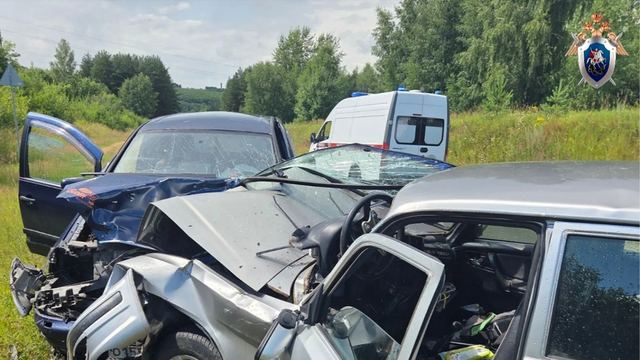 В результате ДТП в Горномарийском районе пострадали пять несовершеннолетних пассажиров