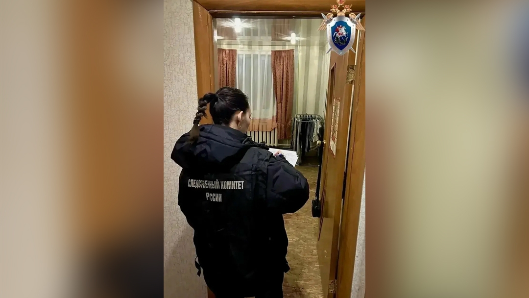 Жительница Моркинского района осуждена на шесть лет за убийство сожителя