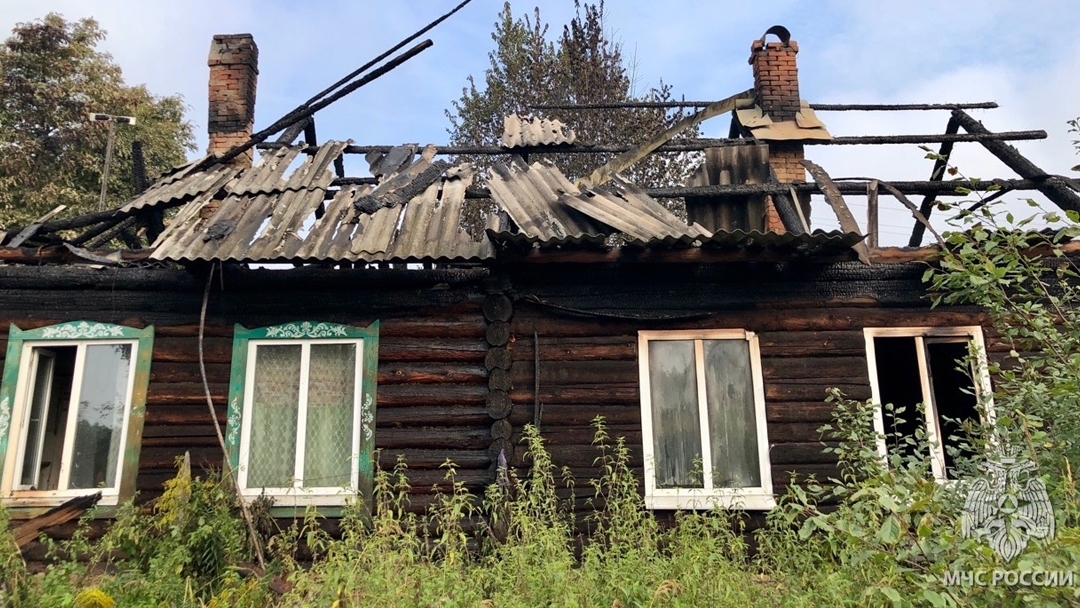 В результате ночного пожара в деревне Озерки пострадали два человека