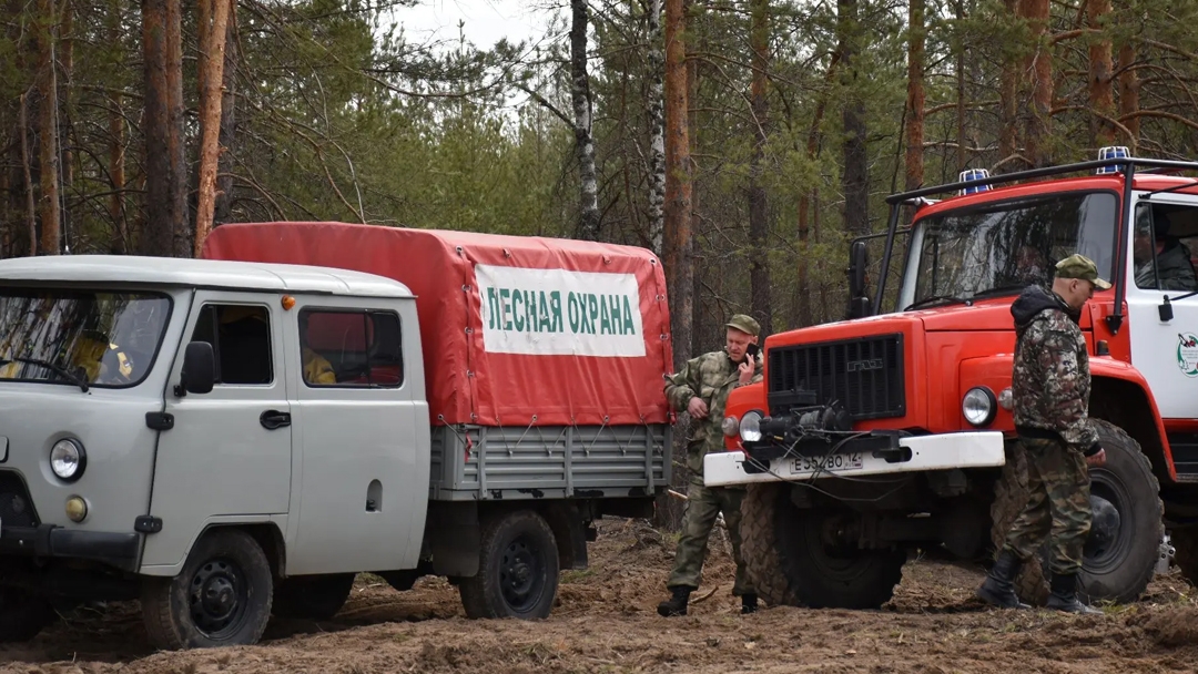 Более 340 единиц оборудования поступило в лесные службы Марий Эл в 2026 году