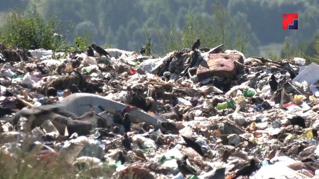 В Марий Эл запланировано строительство новых мусоросортировочных комплексов в рамках нацпроекта «Экологическое благополучие»