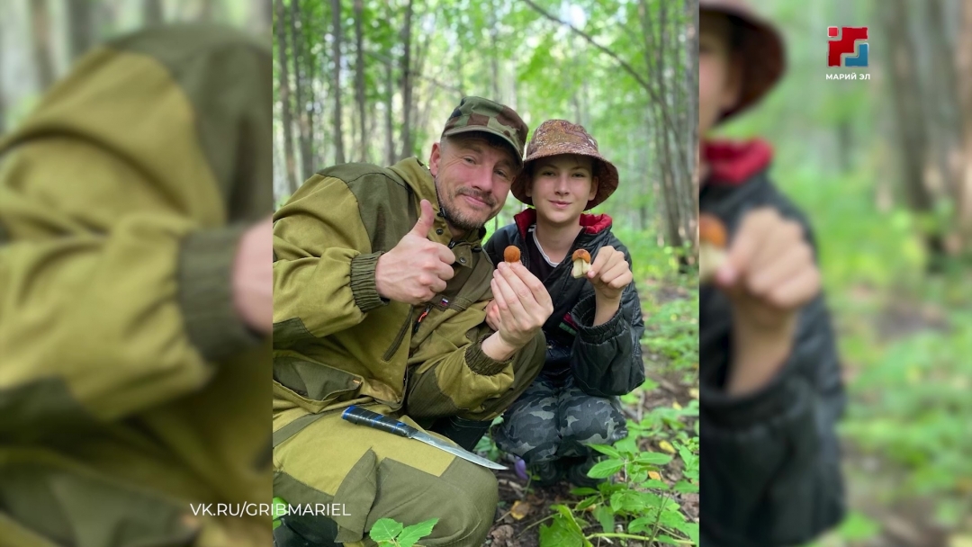 В лесах Марий Эл пошли белые грибы — сезон, по словам грибников, не самый удачный