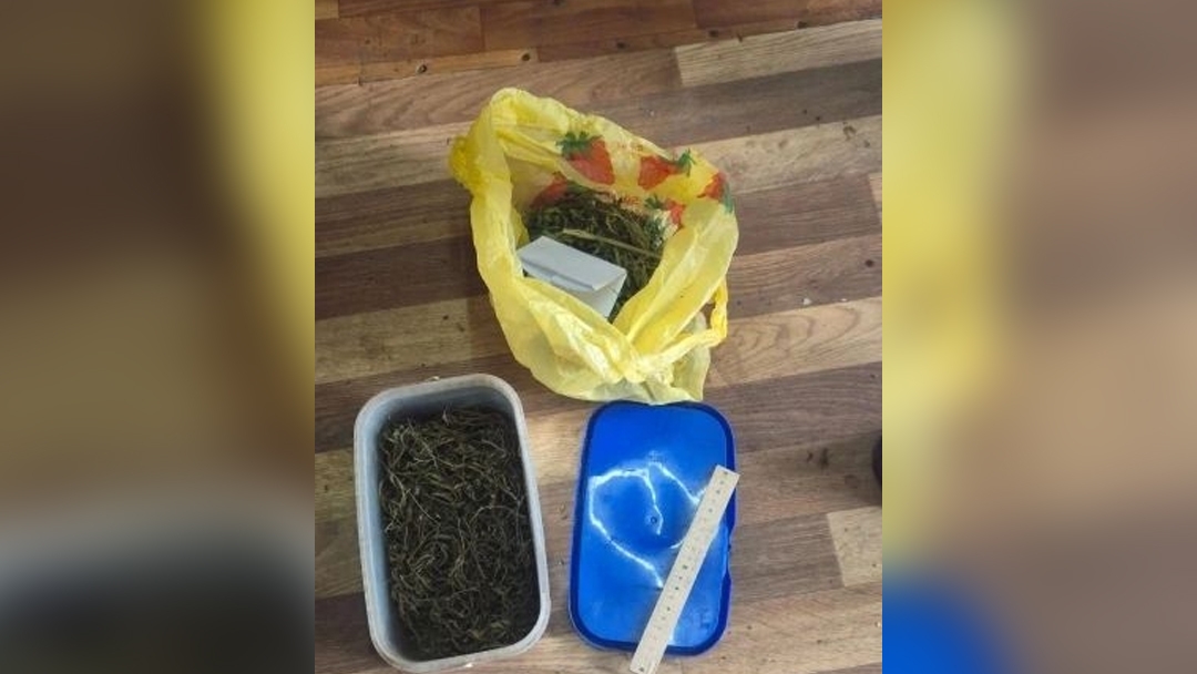 В Марий Эл полицейские изъяли у местного жителя крупную партию марихуаны*