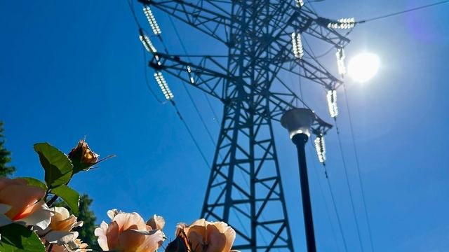 Стало известно, где в Йошкар-Оле не будет электричества