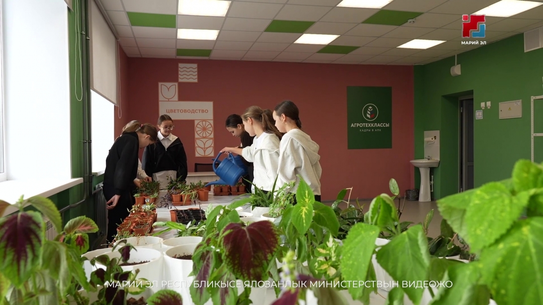 Микрӓк кыдалаш школ пеленысе йочасадыште агролабораторийым почыныт
