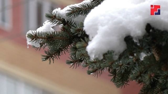 В Марий Эл пришло похолодание: синоптики предупреждают о мокром снеге и заморозках