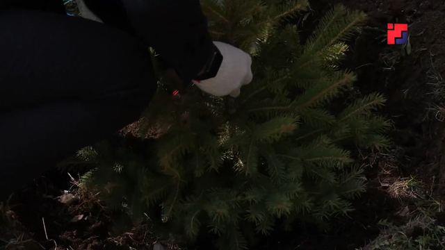 В Мари-Турекском районе заложат «Аллеи памяти» в честь участников СВО