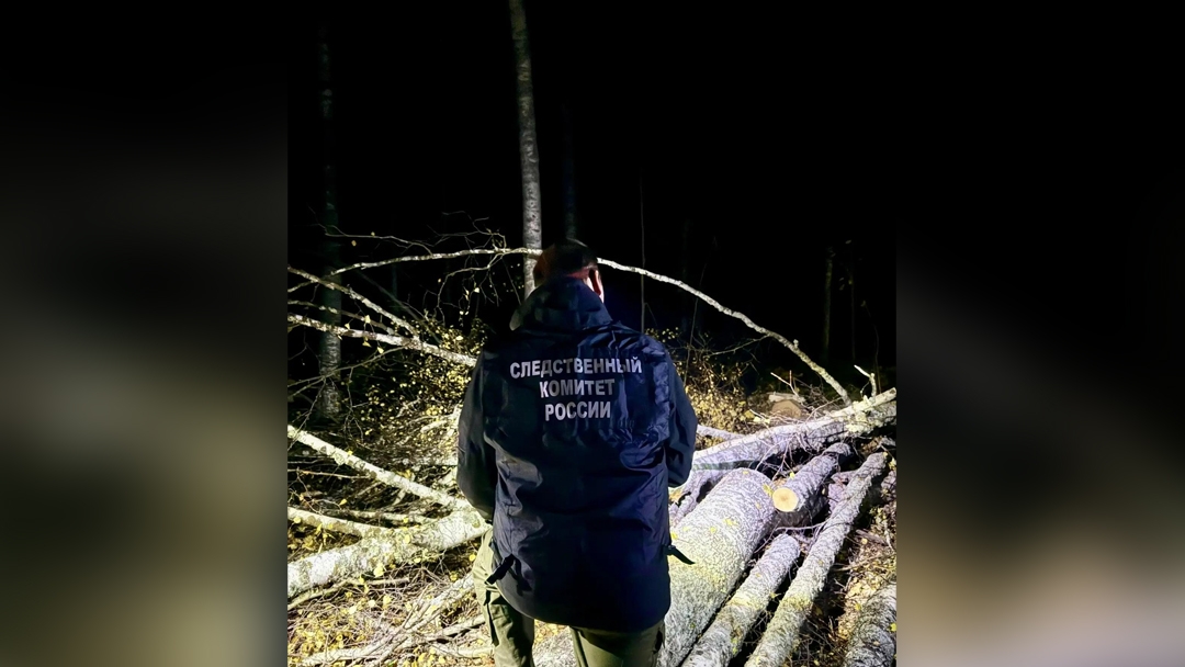 В Марий Эл при валке леса погиб 50-летний мужчина