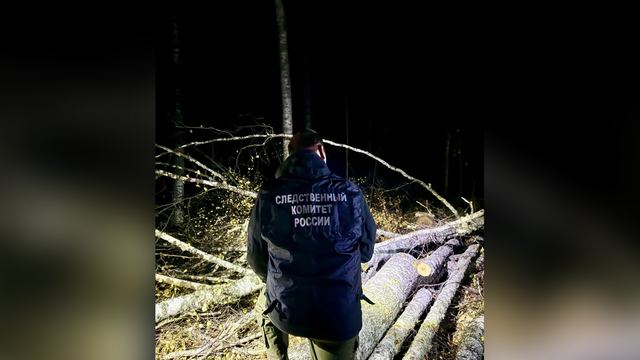 В Марий Эл при валке леса погиб 50-летний мужчина
