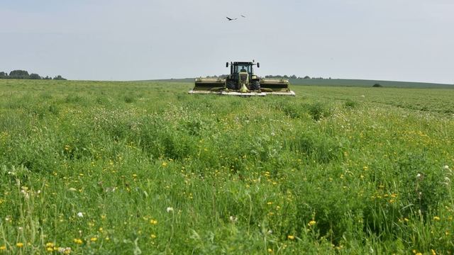 В Йошкар-Оле масштабно отпразднуют День работника сельского хозяйства