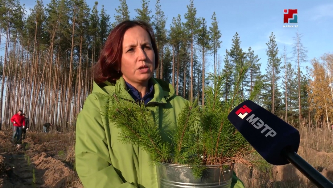 Кундемна «Сохраним лес» Российысе акцийыш ушнен