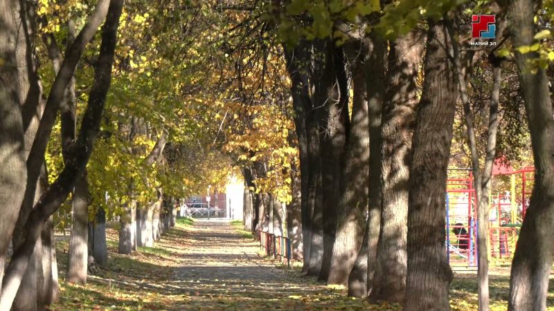 Рекордное тепло, резкое похолодание и советы автомобилистам: прогноз погоды для Марий Эл