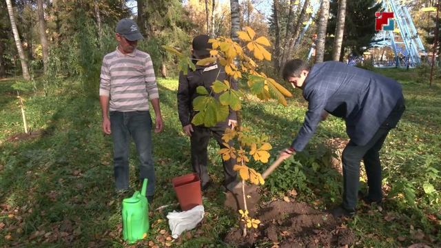 Йошкар-Олан тӱвыра да каныме рӱдӧ паркыштыже Театр аллейым почыныт