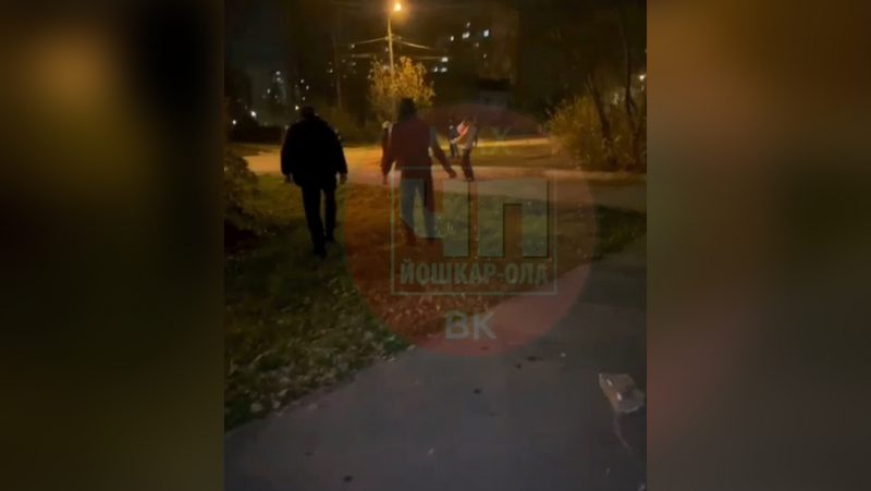 Нападение на отдыхающих с детьми в Йошкар-Оле: СК организовал доследственную проверку