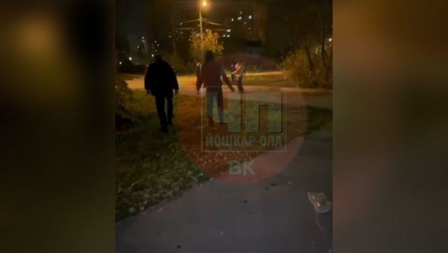 Нападение на отдыхающих с детьми в Йошкар-Оле: СК организовал доследственную проверку